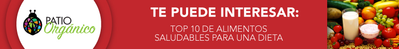 Top 10 de alimentos saludables