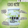Coco Kéfir o Milk Kéfir - Pre y Probióticos - Image 4