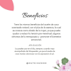 Aceite de Coco Ozonizado con esencia de Rosa Geranio - Image 2